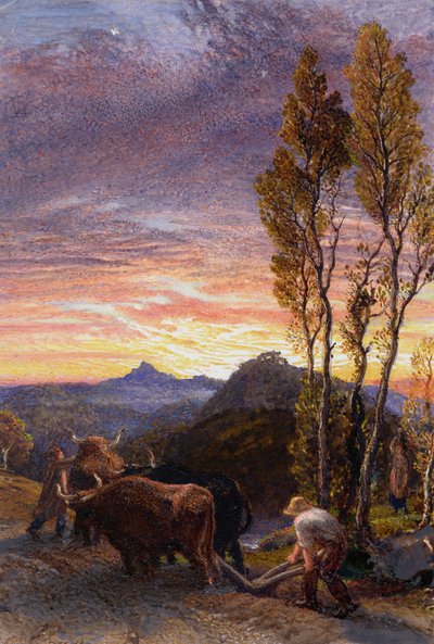 Oxen Ploughing at Sunset by Samuel Palmer